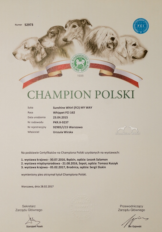 Dyplom - Champion Polski