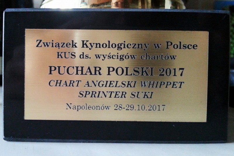 Puchar Polski 2017